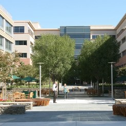 address-details